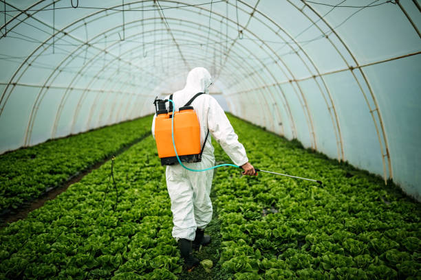 Best Pest Control Near Me  in Williamsville, NY
