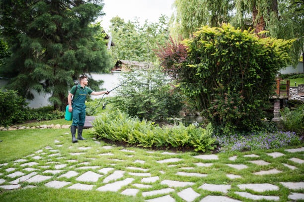 Best Ant Control Services  in Williamsville, NY