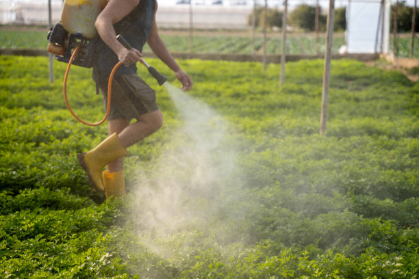Best Affordable Pest Control Services  in Williamsville, NY