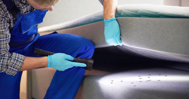 Best Wasp Removal Services  in Williamsville, NY