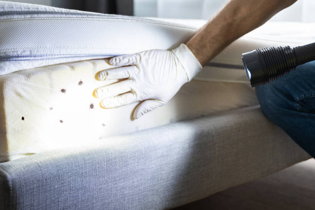 Best Best Pest Control Companies  in Williamsville, NY