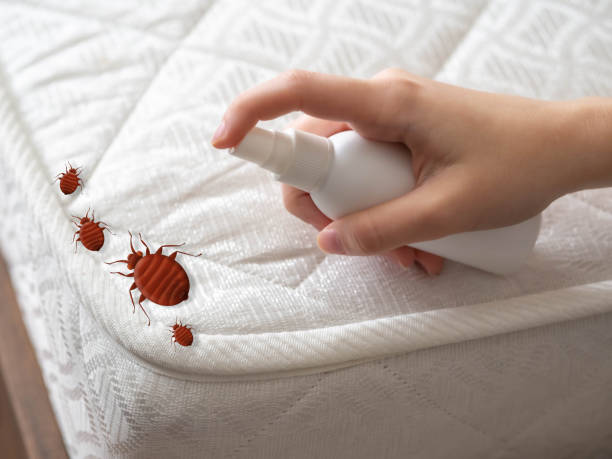 Best Pest Inspection Near Me  in Williamsville, NY
