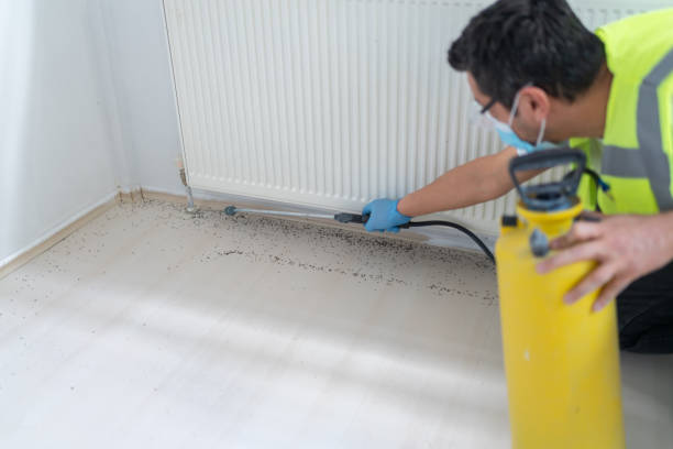 Best Pest Prevention Services  in Williamsville, NY